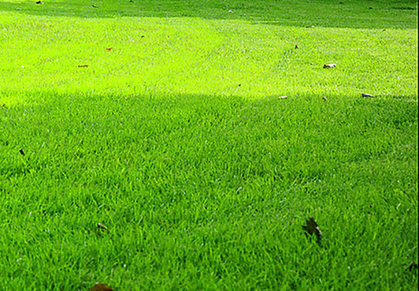 草坪融雪發熱電纜系統